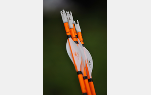 Formation assistant entraineur 